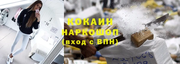 шишки Дмитриев