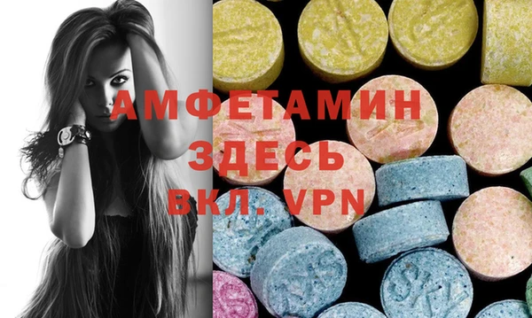 шишки Дмитриев