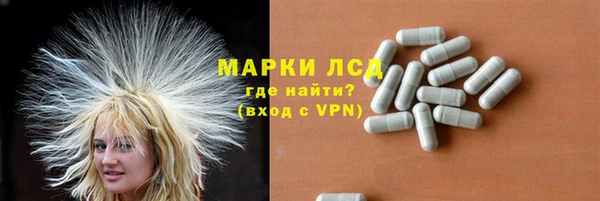 шишки Дмитриев