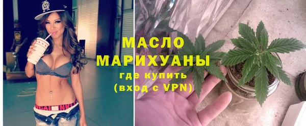 шишки Дмитриев