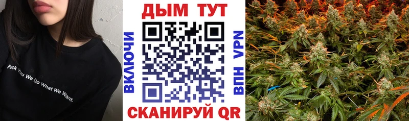 Канабис VHQ  Псков 
