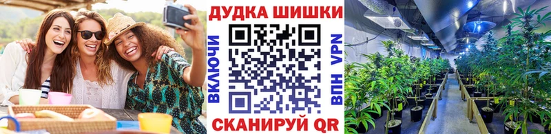Конопля гибрид Псков